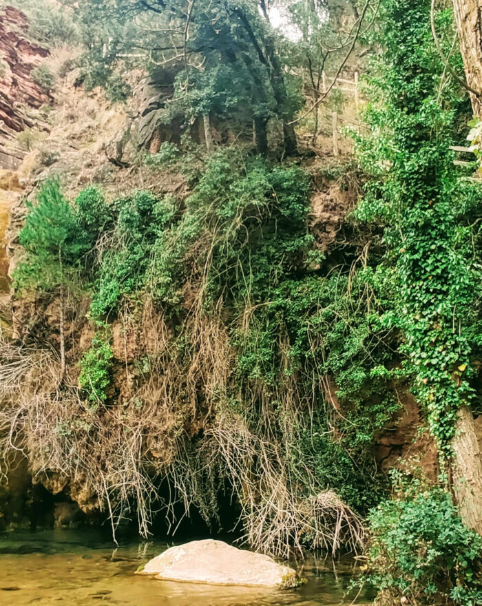Amanaderos de Riodeva