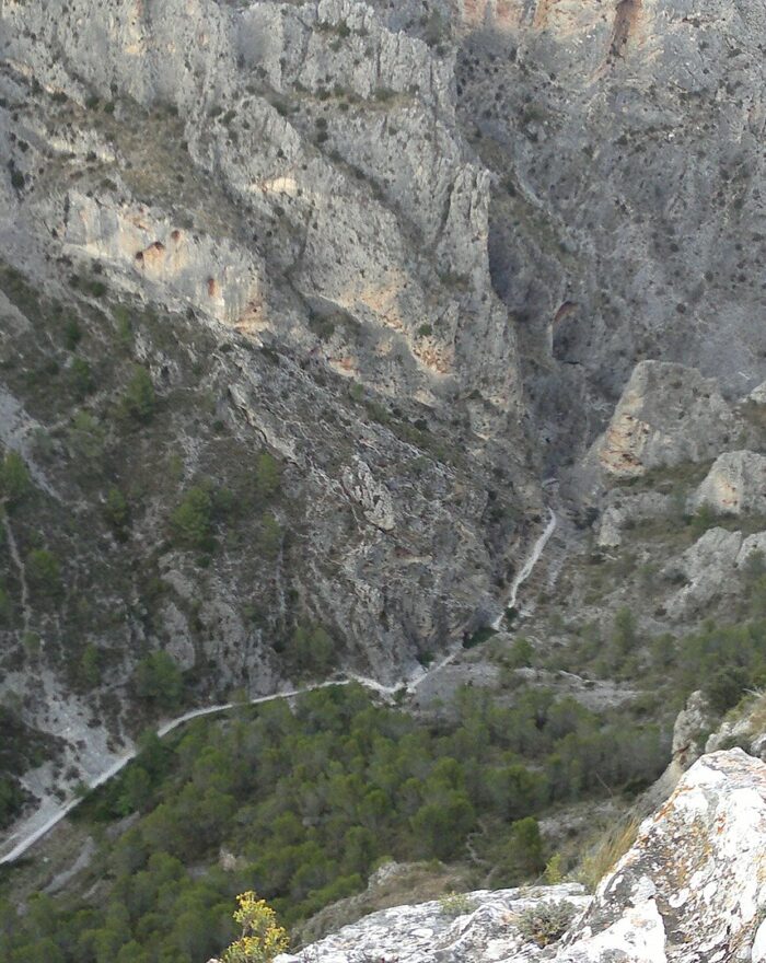 Barranc del Cint y Pic de les Àguiles: Huellas y Sendas, el buitre (Alcoy)