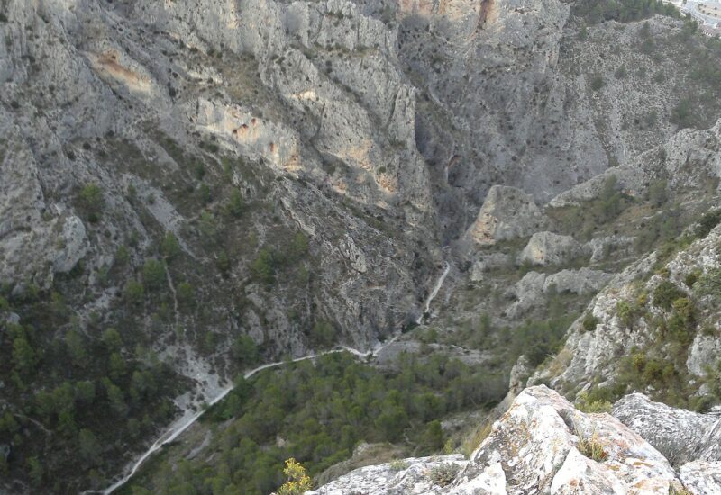Barranc del Cint y Pic de les Àguiles: Huellas y Sendas, el buitre (Alcoy)