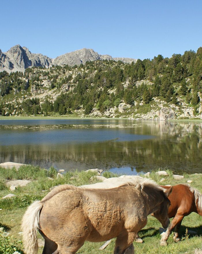 Estanys de Pessons, una de las rutas más bonitas de Andorra