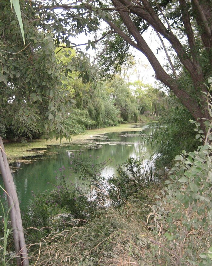El Clot de la Mare de Déu de Burriana (Castellón)