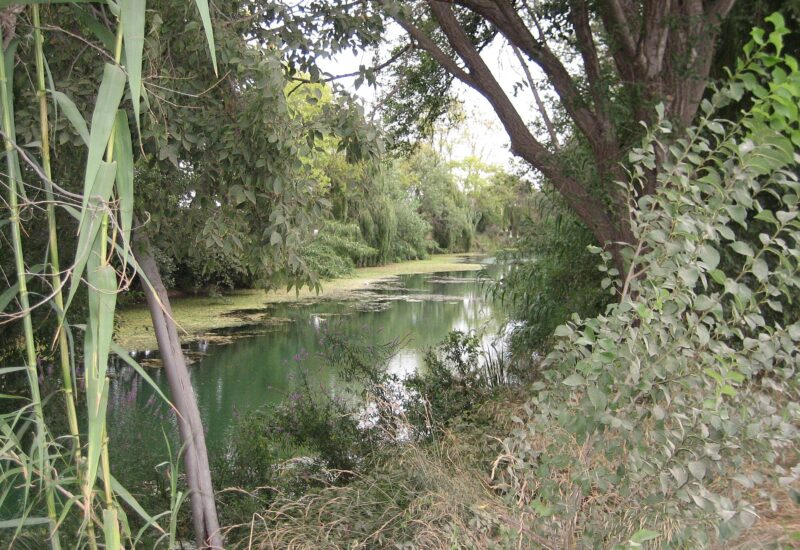 El Clot de la Mare de Déu de Burriana (Castellón)