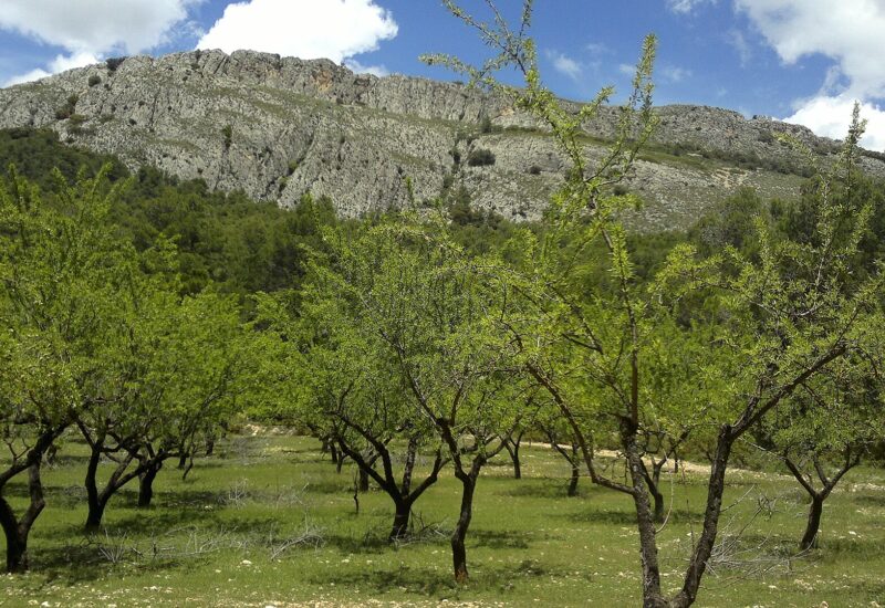 La Serreta de Alcoy: ruta al poblado ibero