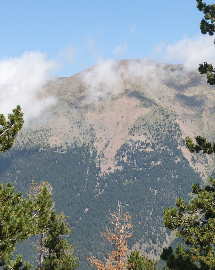 Tobotronc, el tobogán alpino más largo del mundo (Naturland, Andorra)