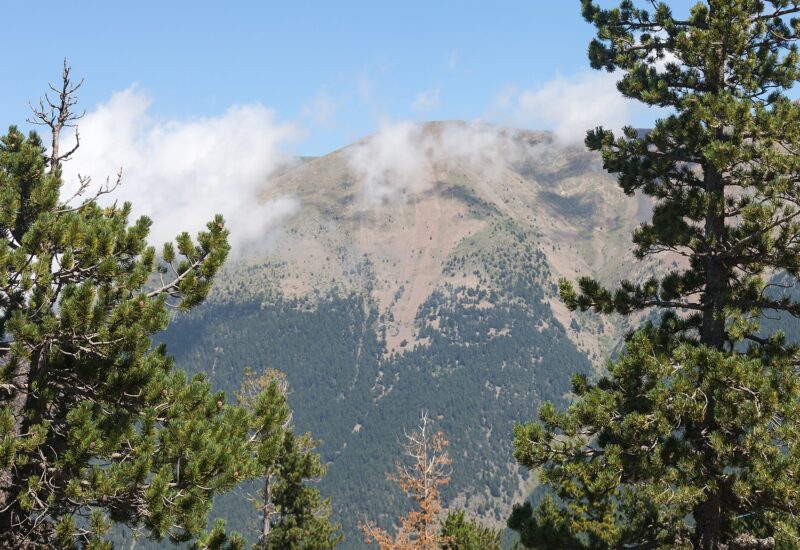 Tobotronc, el tobogán alpino más largo del mundo (Naturland, Andorra)