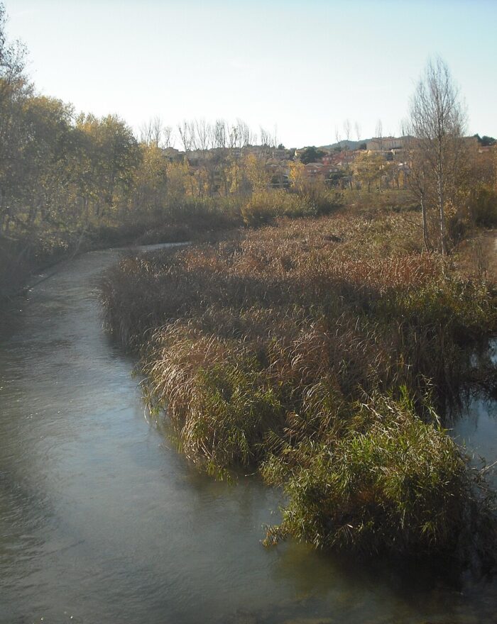 Cova del Colom de Riba-roja de Túria (Valencia)