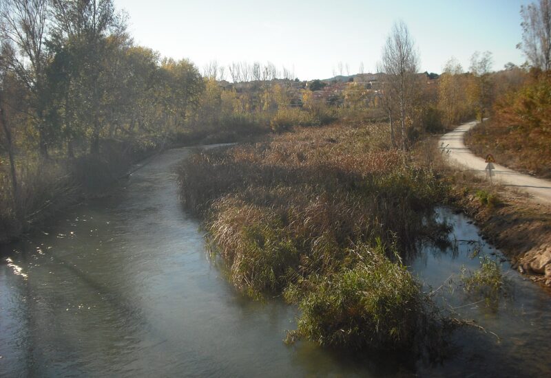 Cova del Colom de Riba-roja de Túria (Valencia)