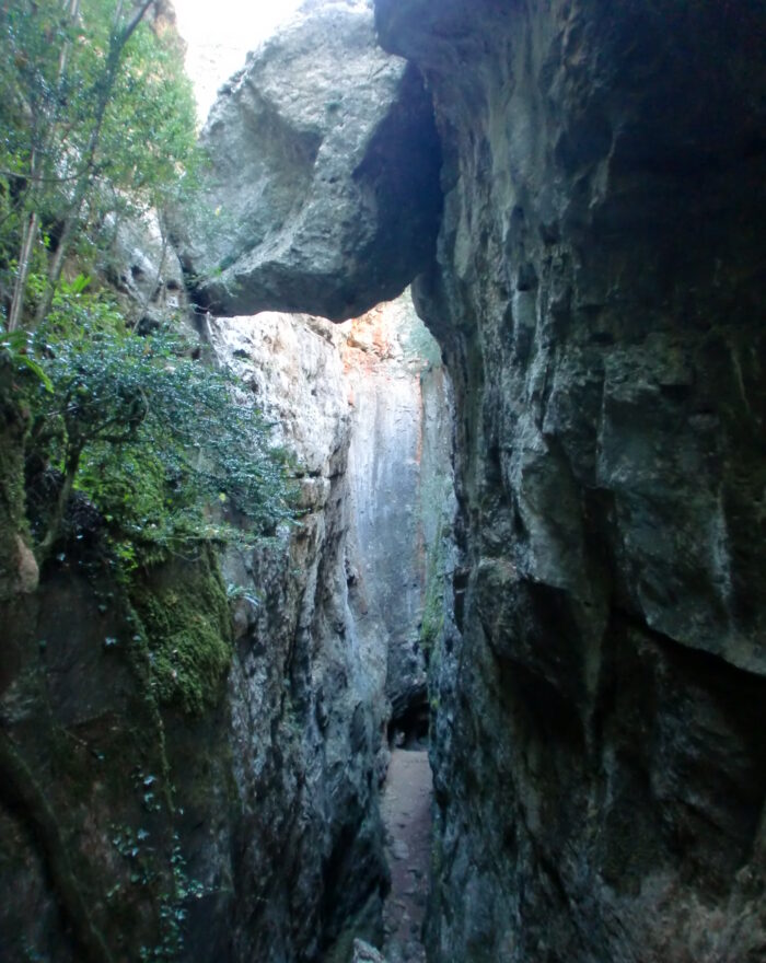 Avencs de la Febró (Tarragona)