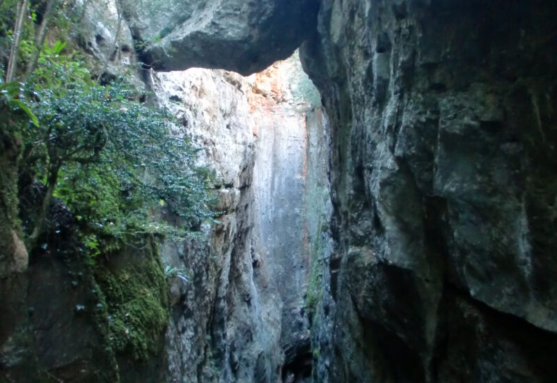 Avencs de la Febró (Tarragona)