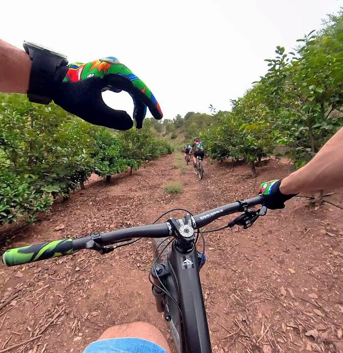 Ruta MTB por las sendas de Rotglà i Corberà, Estubeny y Anna (Valencia)