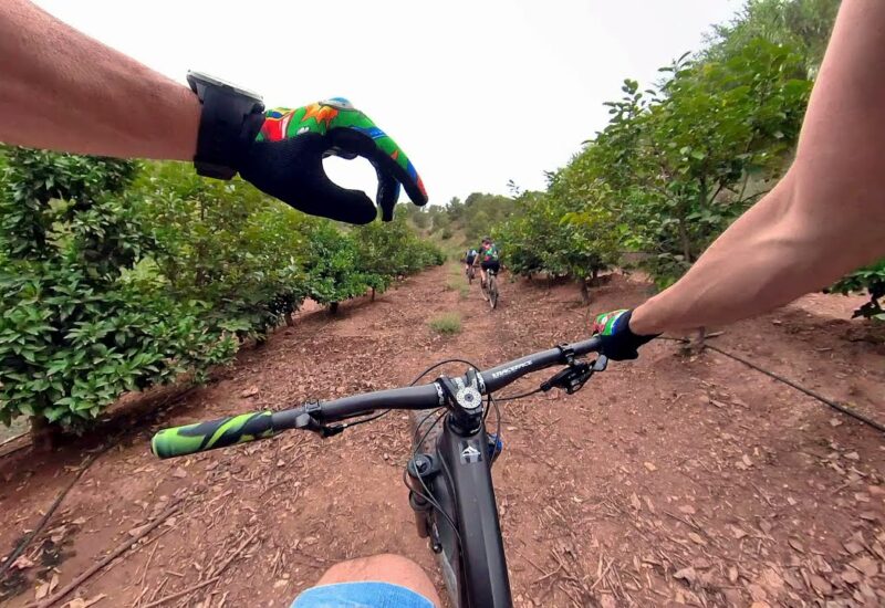 Ruta MTB por las sendas de Rotglà i Corberà, Estubeny y Anna (Valencia)