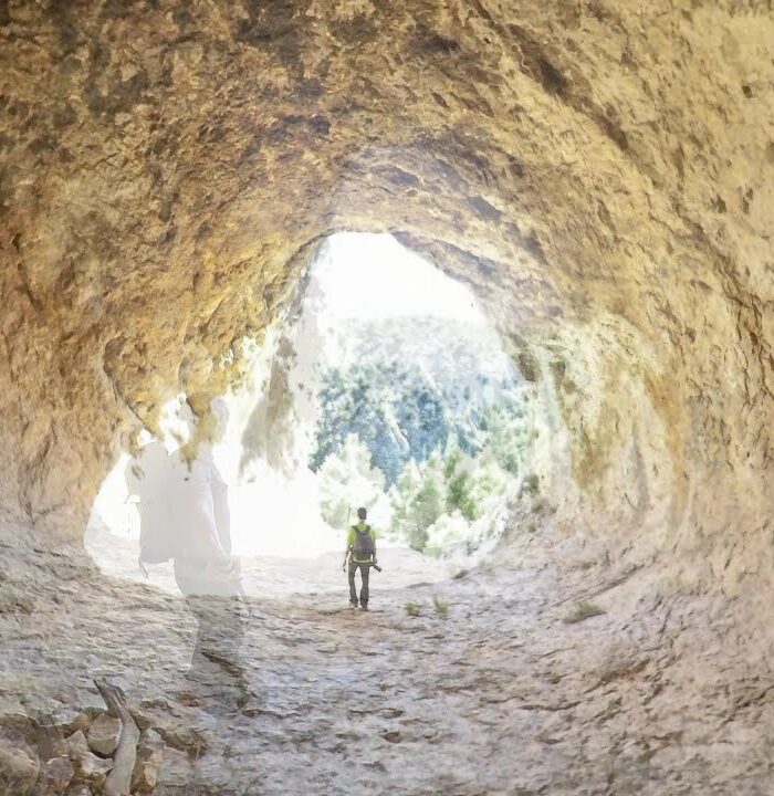 Barxell y Els Canalons: Huellas y Sendas, el jabalí (Alcoy)