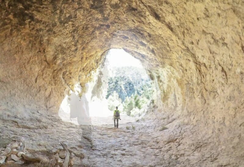 Barxell y Els Canalons: Huellas y Sendas, el jabalí (Alcoy)