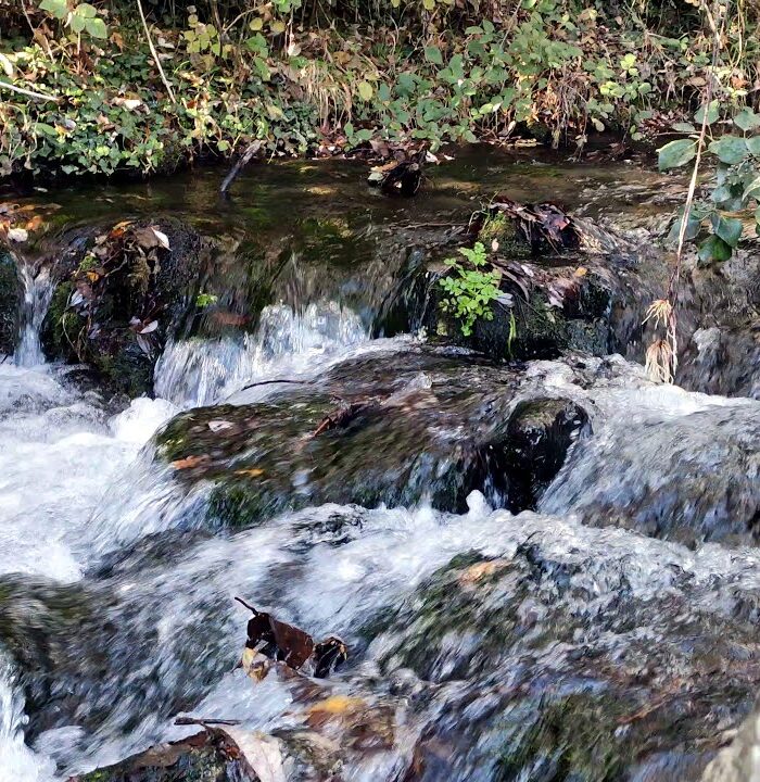 Ruta MTB en Ademuz: río Bohilgues y sendas de la Sesga (Valencia)