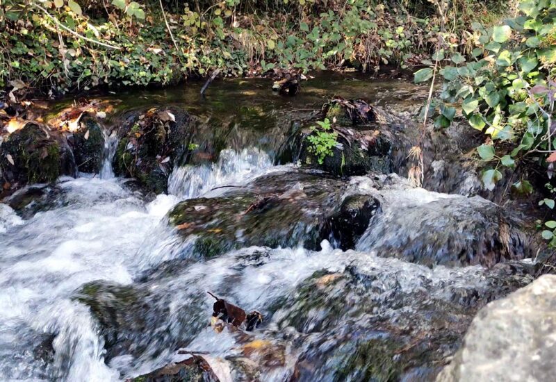Ruta MTB en Ademuz: río Bohilgues y sendas de la Sesga (Valencia)
