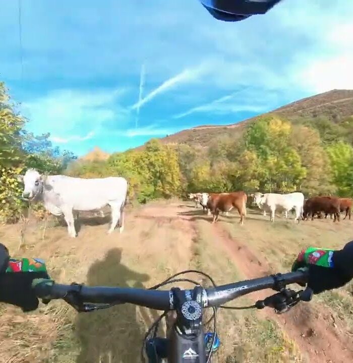 Ruta MTB Alp - La Molina por el Sendero 732 (Girona)