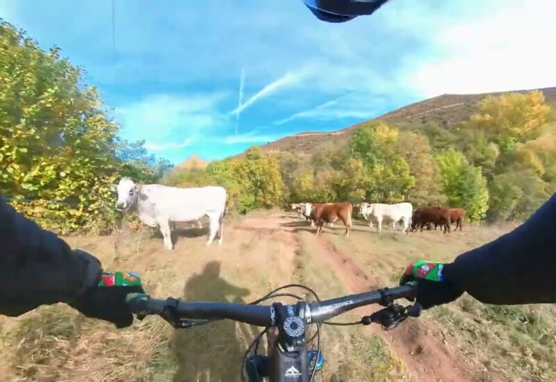 Ruta MTB Alp - La Molina por el Sendero 732 (Girona)