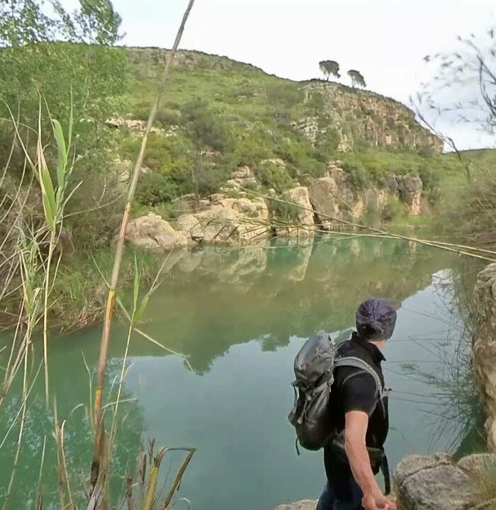 Ruta del Palmeral de Pedralba (Valencia)