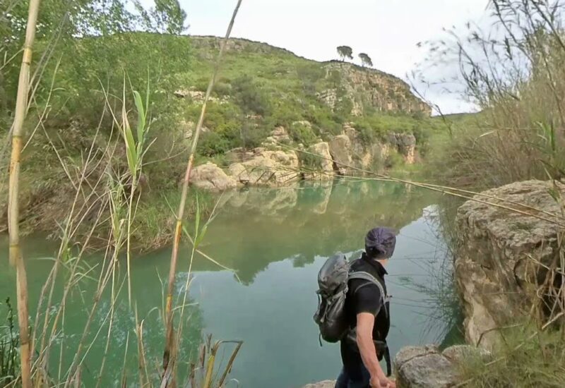 Ruta del Palmeral de Pedralba (Valencia)
