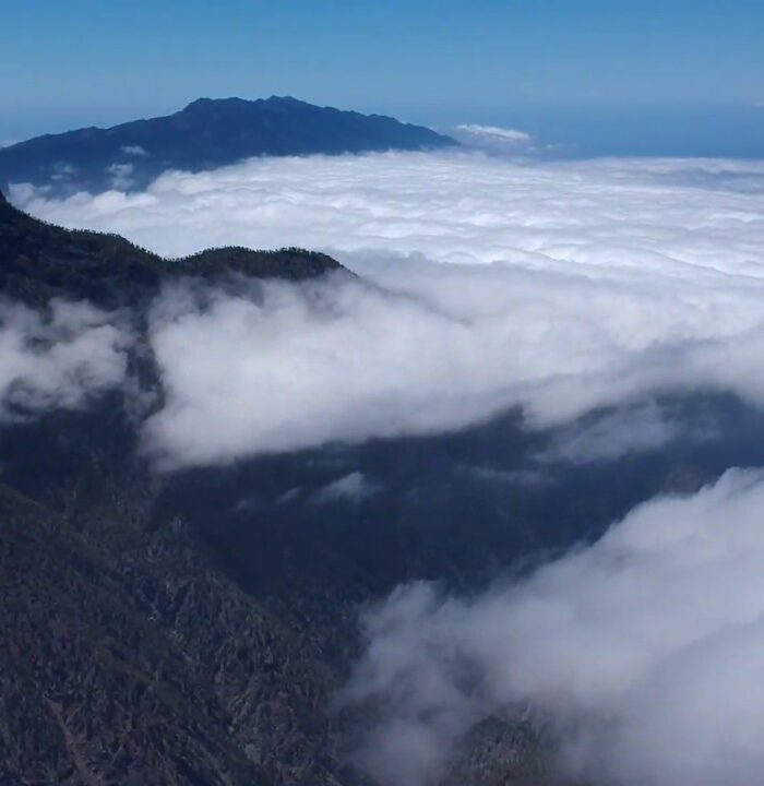 Roque de los Muchachos - Puerto de Tazacorte: enduro MTB (La Palma)